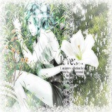 𖦹⋆.˚˚࿔ 𝑷𝒉𝒐𝒔'𝒔 𝑴𝒐𝒐𝒏 𝑺𝒉𝒐𝒑~°𝜗𝜚˚⋆