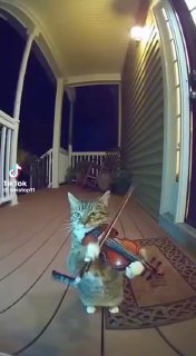 我相信这是真的……嗯～～～