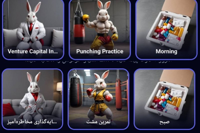 Catizen: کارت های ۲۱ مرداد راکی ربیتمسیر کارت ها :Fighter > Claim > MorningFighter > Venture > Venture Capital InvestmentsCoach >