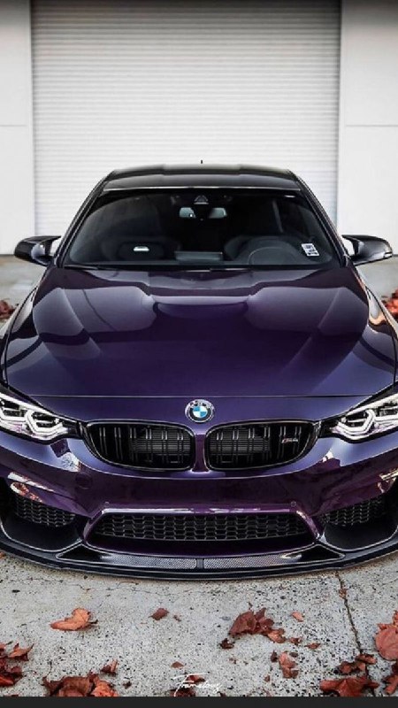 https://t.me/bmw_mpower_club