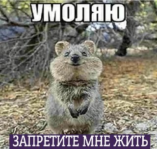 Вячеслав Володин заявил, что упрёки в адрес депутатов о том, что они занимаются только запретами, неуместны.По его словам, депутаты принимают законы исключительно по запросу российских граждан. Он отметил, что законодатели понимают свою ответственность и з