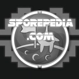 РЕСТ НЕОПРЕДЕЛЁННЫЙ СРОК Sporepedia.com !! ⟨ Сетка по Spore ⟩