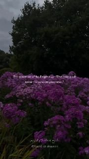 People will continue to be upon Khayr so long as the Sunnah is apparent | Sheikh Abdussalam Ash-Shuwa’ir