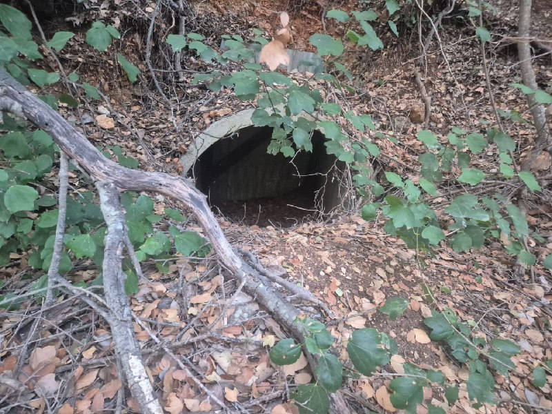 During IDF forces' operation in Lebanon, as part of sweeps in the area, the forces located and destroyed a staging site that contained a terror organization’s cache and ready‑to‑use munitions, including 32 rockets aimed at Israeli territory that were left in the area before the ceasefire agreement.