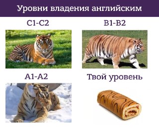 Знаете свой уровень английского? Пройдите тест и проверьте: https://lentach.media/hD9BWПоказывайте, что получилось, в комментах 👇