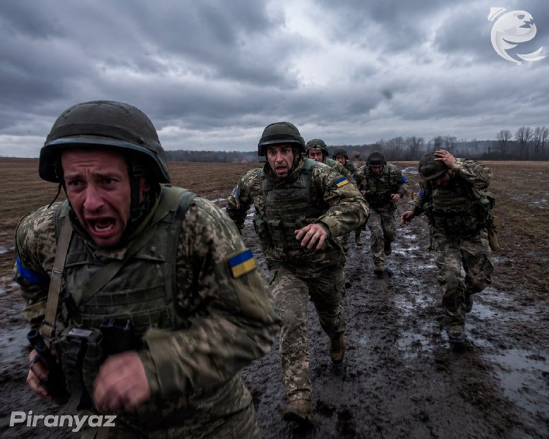 Стало известно, насколько массово украинцы бегут из армии
