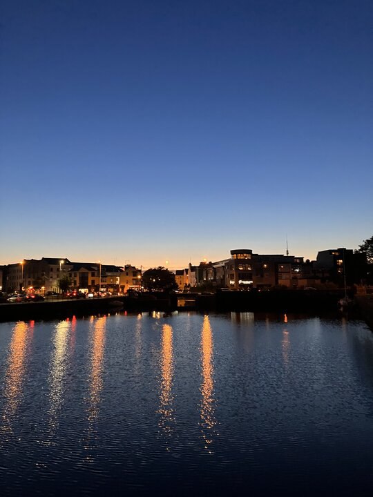 後疫情時代，打工度假荊棘路🐾