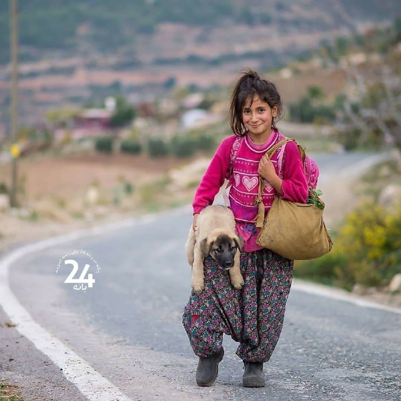 بانه 24: 🗓 ئەمڕۆ دوو شەممە۲ شەهرێۆەری ۱۴۰۵ی هەتاوی۲ خەرمانان ۲۷۲۶ی کوردی ٢۴ اوت ۲۰۲۶ زایینی➖ڕۆژ باش هاوڕێیان🌸🩷➖ #بانە_٢٤ #دەنگی_ئ