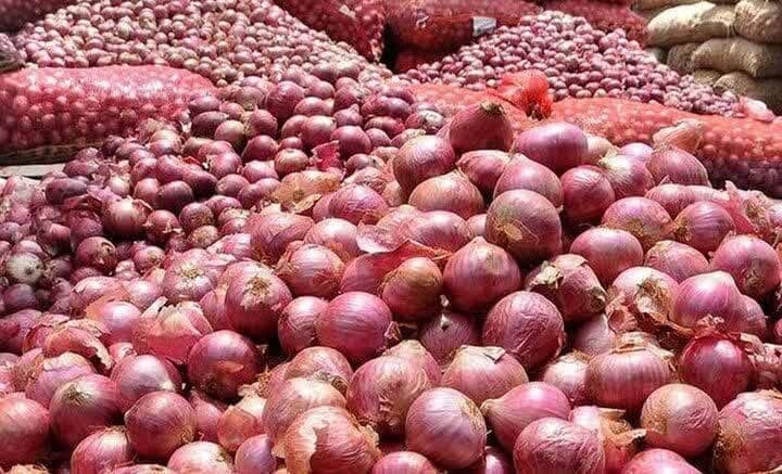 Iran Agriculture News: 🔰Fars Eyaletinden Türkiye’ye 8 bin 300 Ton Soğan İhracatı Eylül Sonuna Kadar Devam Edecek 🔶 İran'ın Fars Eyaleti Tarım T