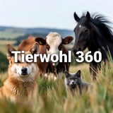 Tierwohl 360
