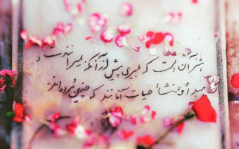 🌷کانال بزرگ شهدا🌷: 💌بسمـ رب الشـهدا.....🕊🌸﷽سبک بالان عاشق﷽#هنر آنست که بمیریپیش از آنکه بمیرانندتومبدأ و منشأ حیات آنان اندکه چنین مرده اند
