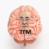 Тулеев головного мозга