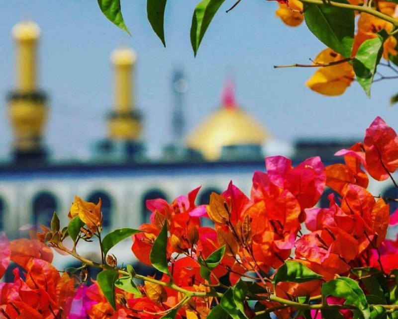 آذرباخیش: صبح جمعه ست و هوایت به دلم افتادهای رفیق ابدی حضرت ارباب سلام 🍃✨السلام علیک یا اباعبداالله✨