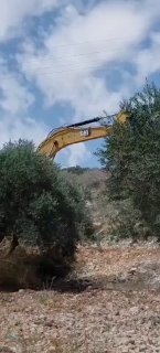 רשת חדשות ירושלים
