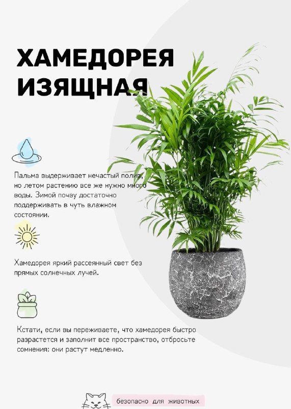  | Декор Интерьер Дизайн - изображение 4 - 