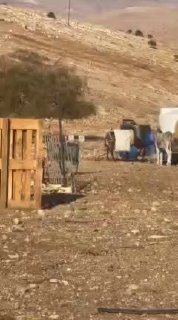 مستوطنون ينفذون جولات استفزازية في خربة سمرة بالأغوار