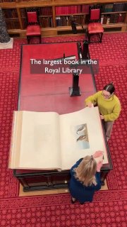 One of the giants of Windsor Castle’s Royal Library: John James Audubon’s Birds of America.4 volumes, 435 hand-coloured, life-size bird prints—so big they were made on rare “Double Elephant” paper.Did you know? 🎓