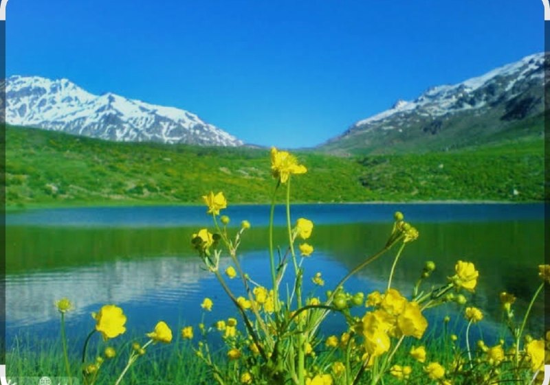 راه آرمان کرمان: توبایدببینی‌میان‌این‌قوم ، برای‌دفاع‌ازباورت ،برای‌ایستادن‌پای‌عقیده‌ات ؛حاضری‌از‌چه‌بگذری . .گاهی‌خدابندگان‌مقربش‌را ،ب