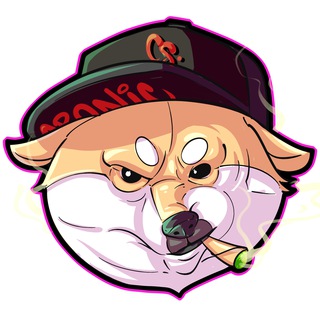 CronicShiba (👾,👾)