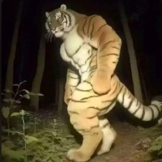 Telegram profile photo for macan.ton