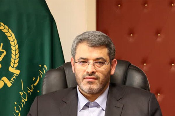 تجارت نیوز: 🔻هیچ گوشت مرغ تاریخ گذشتهای در تهران توزیع نشده استرئیس سازمان جهاد کشاورزی استان تهران: ▪️این اطمینان به شهروندان داده