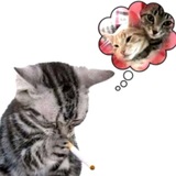 тэни #интернеткид