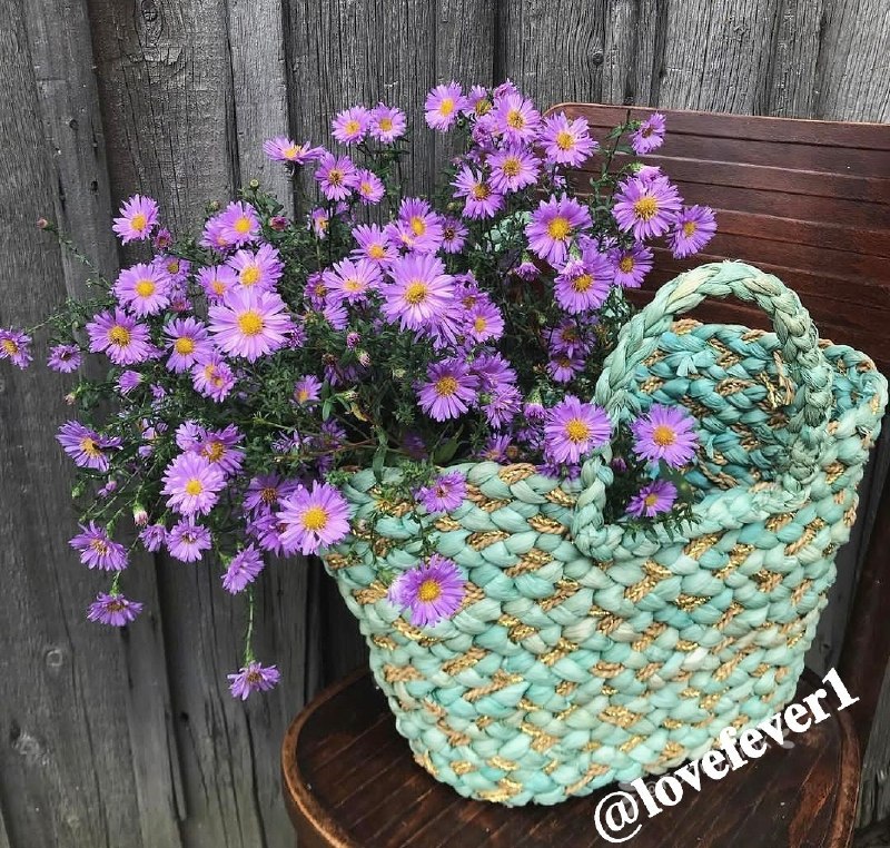 🌹👌سخنان ناب و پند آموز👌🌹: *کـار نـیکی کـه بـرای دیگـران انجام میدهید وظیفه نیست بلکه یک نوع لذت استکه برای شما سلامتیو آرامـش خاطر به ارمغان می‌آو