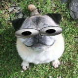 Шалом