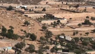 מתנחלים משחררים בעלי חיים לאדמות פלסטיניות בפאתי הכפר ברקה, מזרחית לרמאללה.