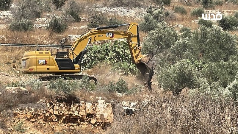 רשת חדשות ירושלים
