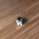 Лалсаов рисует 😼