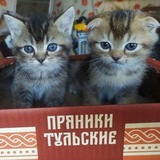 — kvava | длительный рест из-за тупой работы
