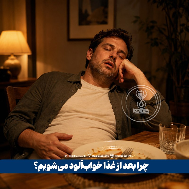 آخرین خبر مازندران: ♦️چرا بعد از غذا خواب‌آلود می‌شویم؟▫️بعد از غذا، بدن برای هضم و جذب مواد مغذی فعال‌تر می‌شود و تغییرات هورمونی و افزایش 