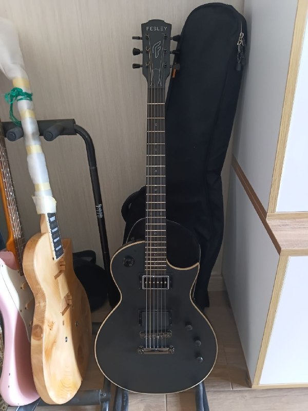 Продам электрогитару Fesley FLP350