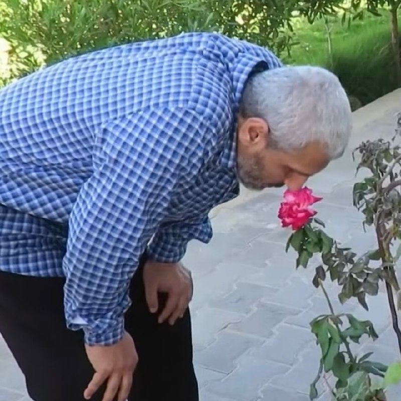 יש אלפי זרעים על פני כדור הארץ.