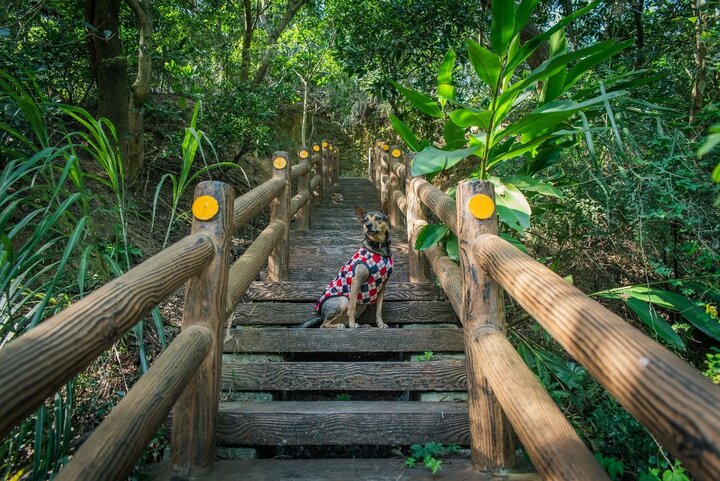 新竹市｜來一趟十八尖山的新竹新西國三十三觀音巡禮吧！