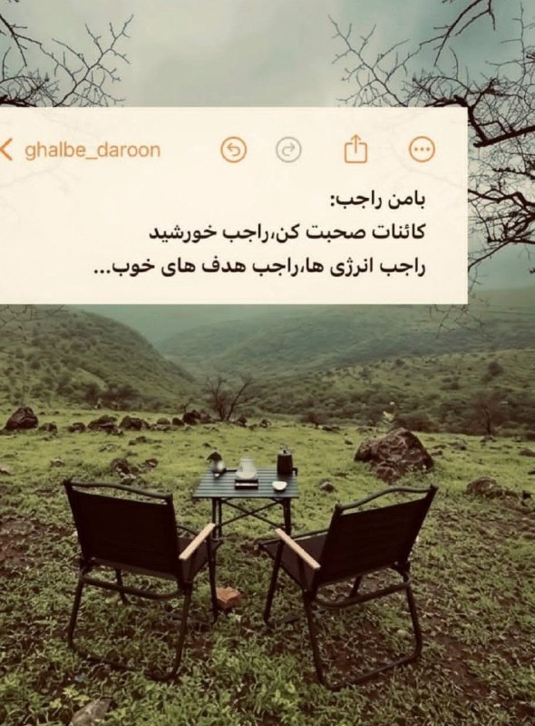 👑 شهر عکس 👑: 💜 @shahreeaks 💜