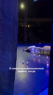 Кот сорвал финал балета «Ромео и Джульетта» в турецком Измире.Пушистик пробрался на сцену во время спектакля «Имперского русского балета» и превратил шекспировскую трагедию в комедию. «В самый кульминационный момент, когда умер Ромео, Джульетта уже воскрес