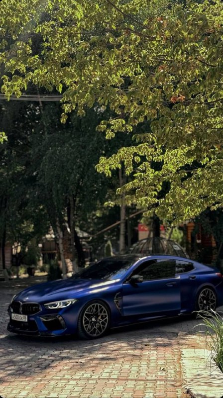 https://t.me/bmw_mpower_club