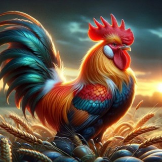 ПТИЦЕВОДСТВО 🐔🦆🦃
