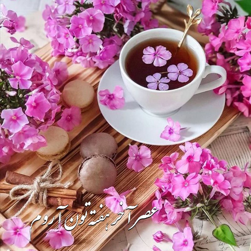 🌹روزگاری غریب🌹: عصری سرشار از عشق الهی💖 سلامتی مهربانی، آگاهی و خوشبختی🌸🍃همراه با خیر و برکت براتون آرزومندم🧁🌸#عصر_آخر_هفته‌تون_آروم ☕️🌸