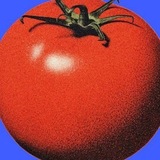 🇲 🇮 🇲 🇮 🇰 🇦