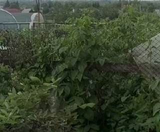 Омскую область атаковали БПЛА. О сбитых над территорией региона дронах сообщил губернатор Виталий Хоценко.Украинские мониторинговые каналы и некоторые российские Z-блогеры («Военный осведомитель», «Пограничник из ада») пишут, что атакован Омский НПЗ — один