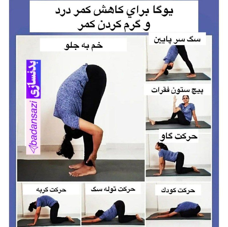 بدنسازی 💪: 🔻چند #حرکت عالی یوگا برای: کاهش کمر درد و گرم کردن کمر برای قبل ورزش @Badansazi دنیای بدنسازی و فیتنس 🏋‍♂🍎💪🏋‍♀