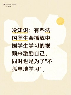 Small fun fact!冷知识：有些法国学生会播放中国学生学习的视频来激励自己，同时也是为了"不孤单地学习"。 Fun fact: Some French students put on videos of Chinese students studying in order to motivate themselves to study and also so they "don't study alone" [笑哭R][笑哭R] (I have yet to test this method bu