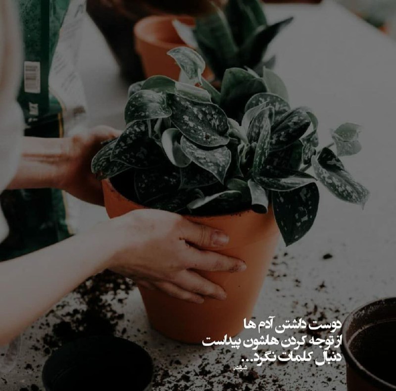 پروفایل ست عکس‌ نوشته عاشقانه: ➰Text ‌‌‌‌‌‌‌‌‌‌‌‌‌‌‌‌‌‌‌‌‌‌‌‌‌‌‌‌‌‎‌‌‎‌‌‌‎