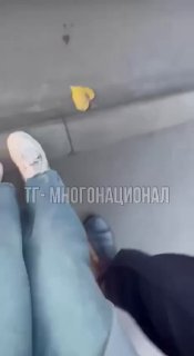 במוסקבה, ערך הנוכל פרובוקציה נוספת עם שוטרים, כעת ניתן להקצין ולפטר אותם המשטרה ביקשה מהאישה להציג את מסמכי…