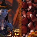 🎃 ⲙ𐔖thᥱr ᥲ᥎ᥲ🎃