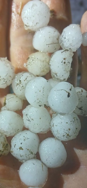 خبرآمد: هم‌اکنون/ کلیبر، روستای گلدور بارش‌ تگرگ بزرگ و سیلتصاویر:علی فلاح▪️خبرآمد/ مرجع رسمی اخبار کلیبر @khabaramad_2هم‌اکنون/