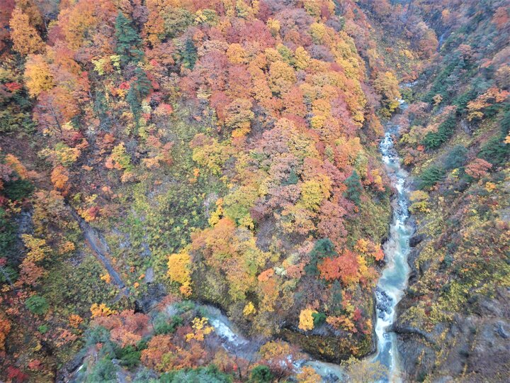 懷念的八甲田/城倉大橋/藏王溫泉